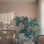 Jak stworzyć przytulne i zapraszające wnętrze domu